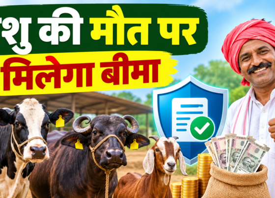Pashudhan Bima Yojana