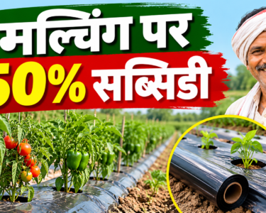 Mulching Subsidy in Bihar 2026