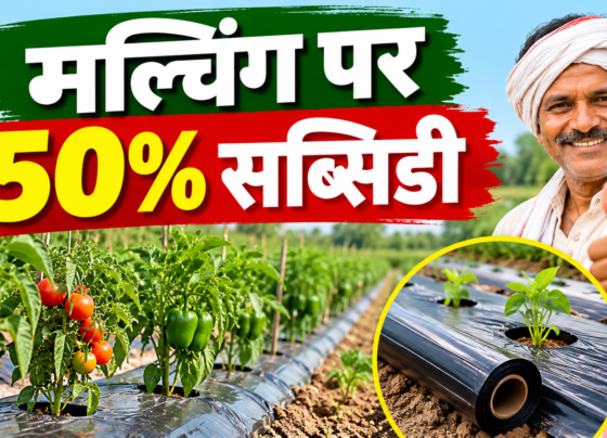 Mulching Subsidy in Bihar 2026
