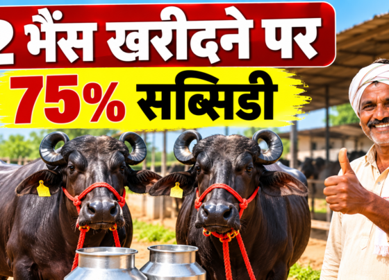 2 Bhains Par Subsidy 2026