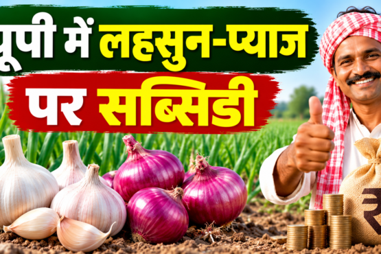 UP Lahsun Pyaj Ki Kheti Par Subsidy 2026