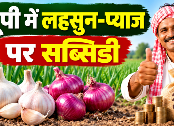 UP Lahsun Pyaj Ki Kheti Par Subsidy 2026