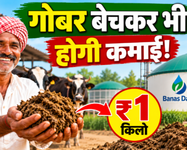 Banas Dairy Gobar Kharid Yojana 2026