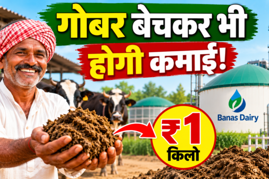 Banas Dairy Gobar Kharid Yojana 2026