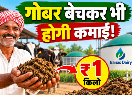 Banas Dairy Gobar Kharid Yojana 2026