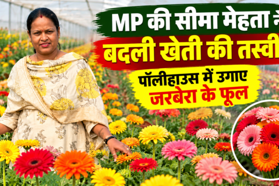 Seema Mehta Flower Farming Success Story