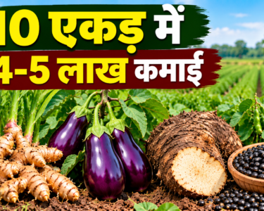 Vinod Maurya Farming Success Story