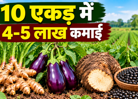 Vinod Maurya Farming Success Story