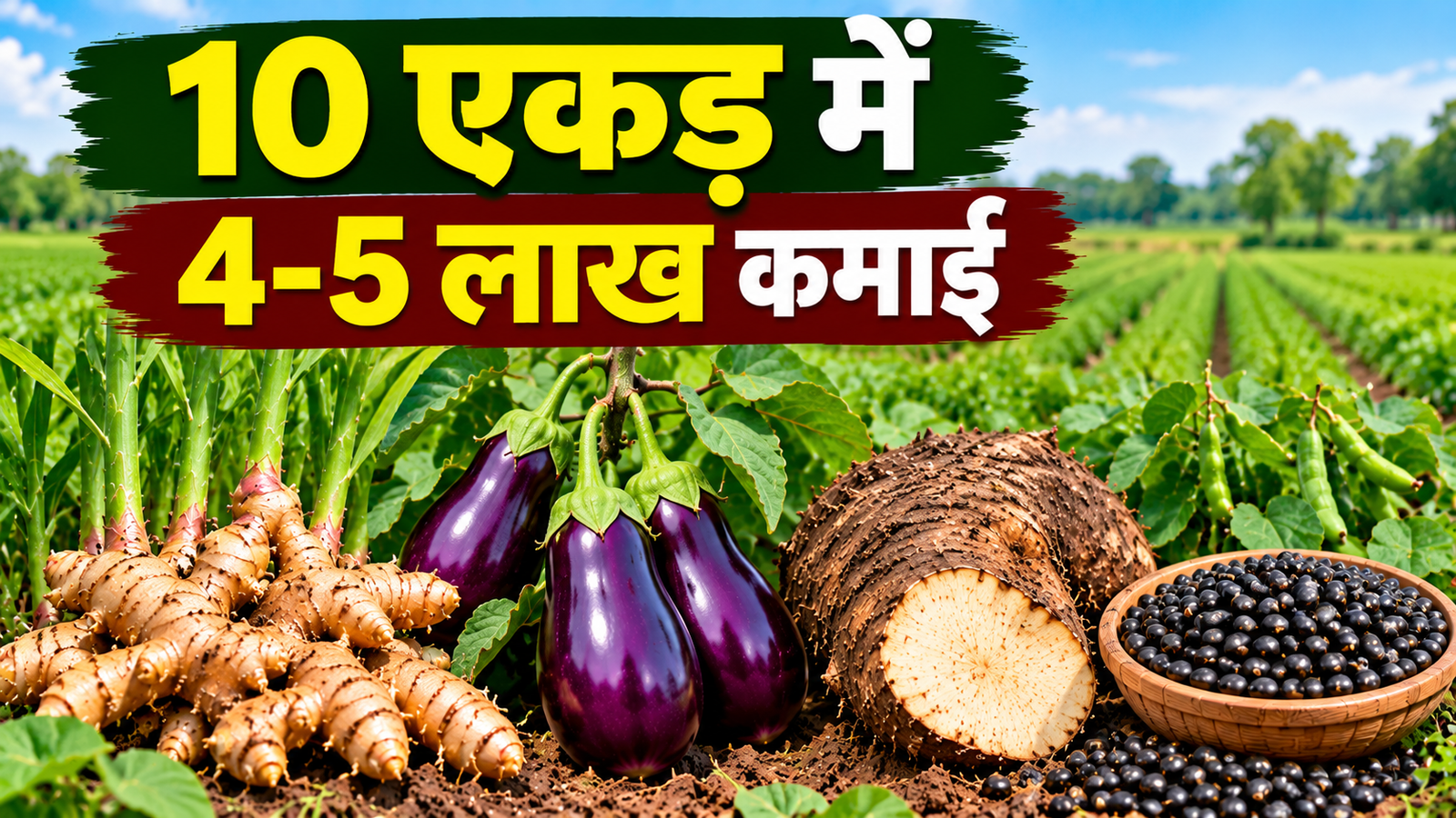 10 एकड़ में अदरक, बैंगन, सूरन और उड़द की खेती से सालाना 5 लाख रुपये तक की कमाई  Vinod Maurya Farming Success Story