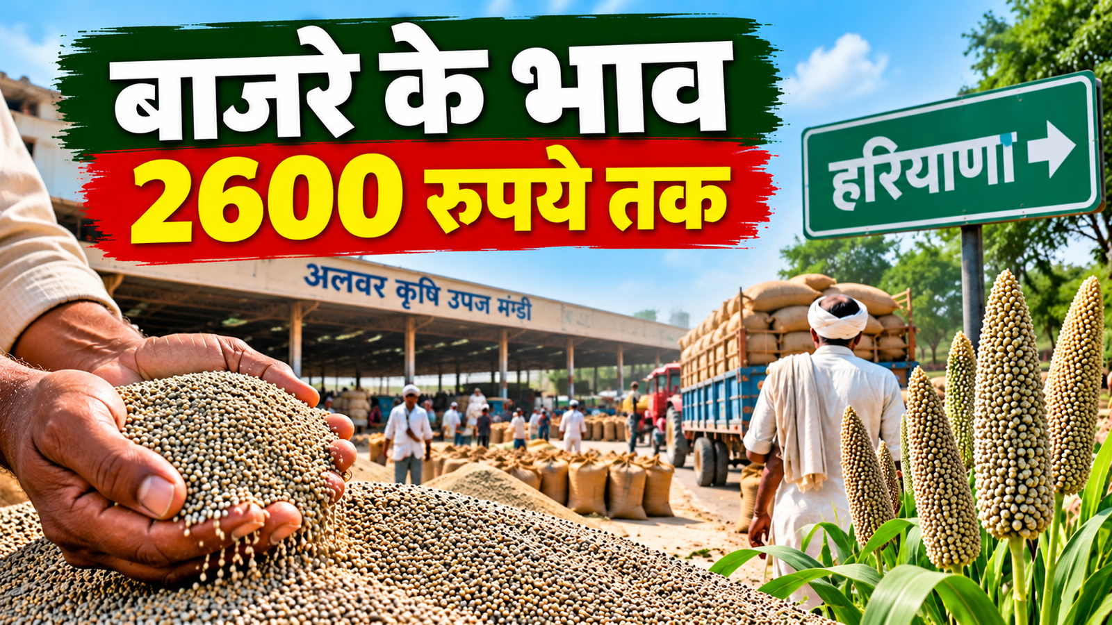 अलवर मंडी में बाजरे के भाव 2600 रुपये प्रति क्विंटल तक पहुंचे, बेहतर दाम के लिए हरियाणा जा रहे किसान Alwar Mandi Bajra Bhav