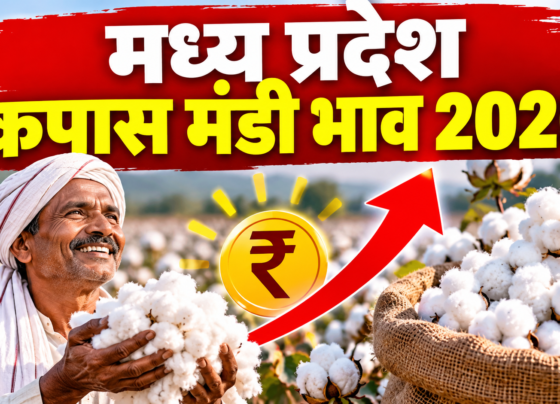 Madhya Pradesh Kapas Mandi Bhav 2026
