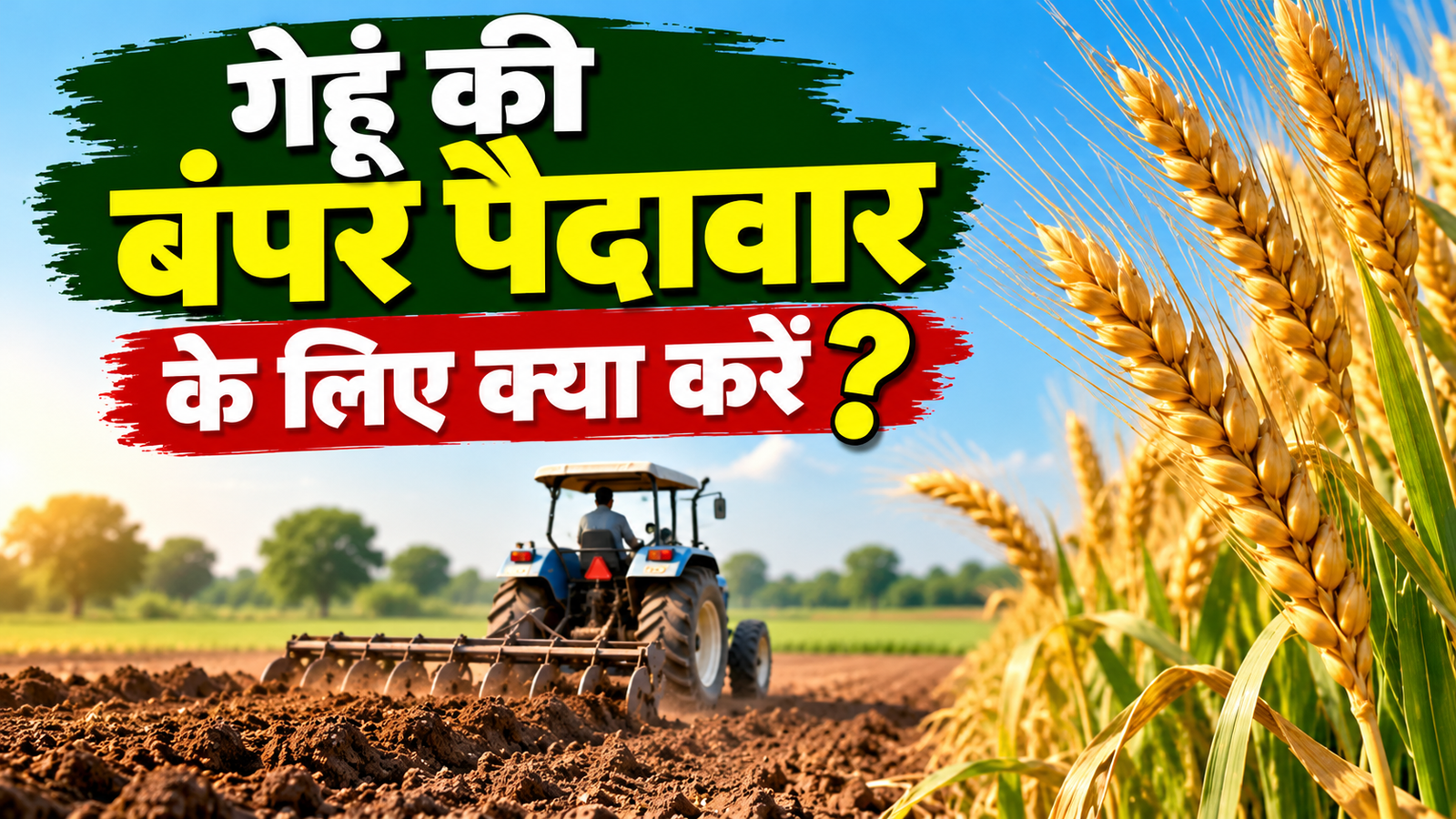 रबी सीजन में गेहूं की बुवाई से पहले खेत में जरूर करें ये 4 काम Gehu Ki Bumper Paidavar Ke Liye Kya Kare?