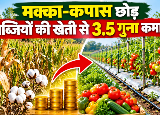 Sumit Bhatia Farmer Success Story