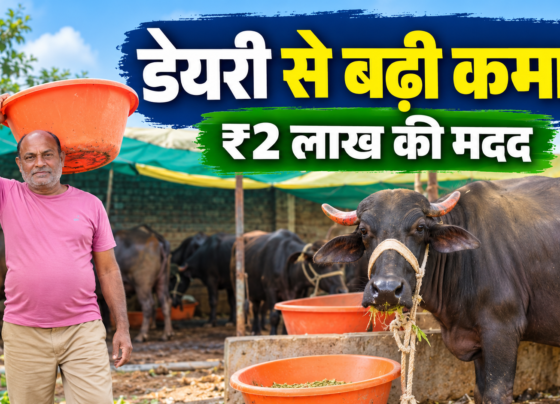 Kishore Thakurdas Dairy Plus Yojana Success Story