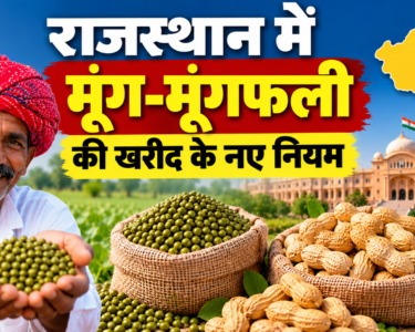 Rajasthan Mein Moong-Moongfali Ki Kharid Ke Naye Niyam