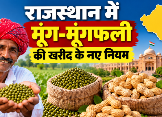 Rajasthan Mein Moong-Moongfali Ki Kharid Ke Naye Niyam