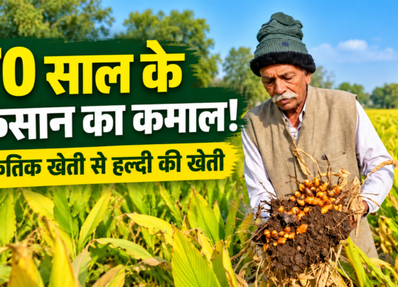 Kalubhai Patel Natural Farming Success Story