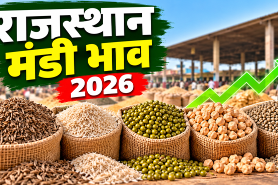 Rajasthan Mandi Bhav 2026