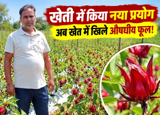 Anmol Dubey Success Story