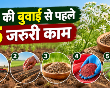Jeere Ki Buwai Se Pehle 5 Jaruri Kaam
