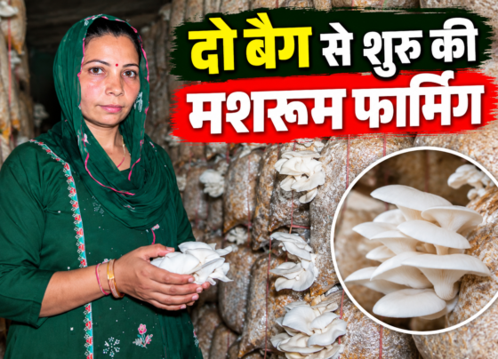 Pooja Mushroom Farming Success Story