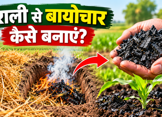 Parali Se Biochar Kaise Banaye