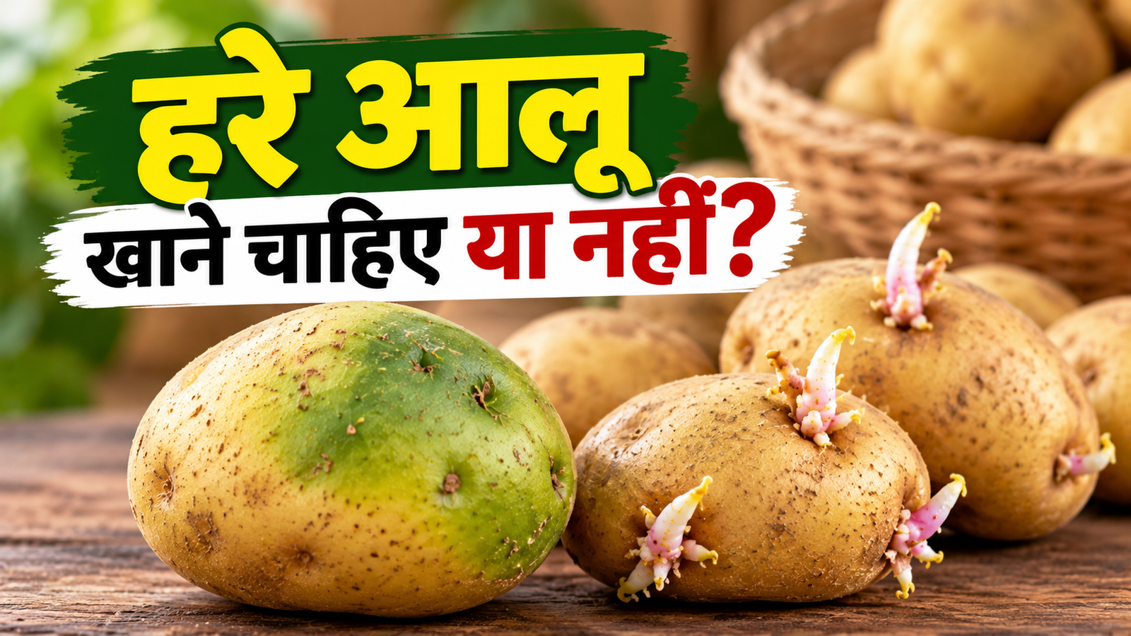 हरे आलू खाने चाहिए या नहीं, जानिए हरे और अंकुरित आलू को लेकर एक्सपर्ट की जरूरी सलाह Hare Aloo Khane Chahiye Ya Nahi?