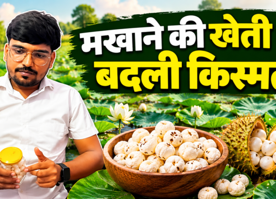 Ranjit Chaudhary Makhana Farming Success Story