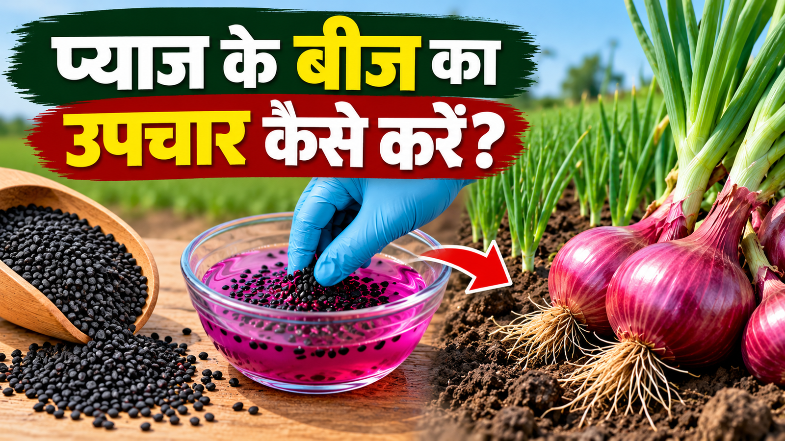 प्याज के बीज का उपचार कैसे करें, जानें सही तरीका, बीज उपचार का समय और जरूरी सावधानियां Pyaj Ke Beej Ka Upchar Kaise Kare?