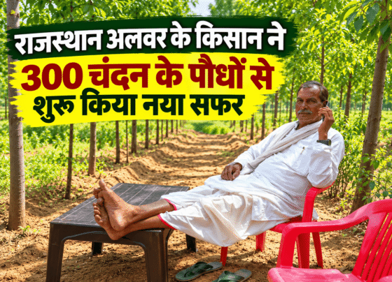 Ramkishor Meena Chandan Ki Kheti Success Story